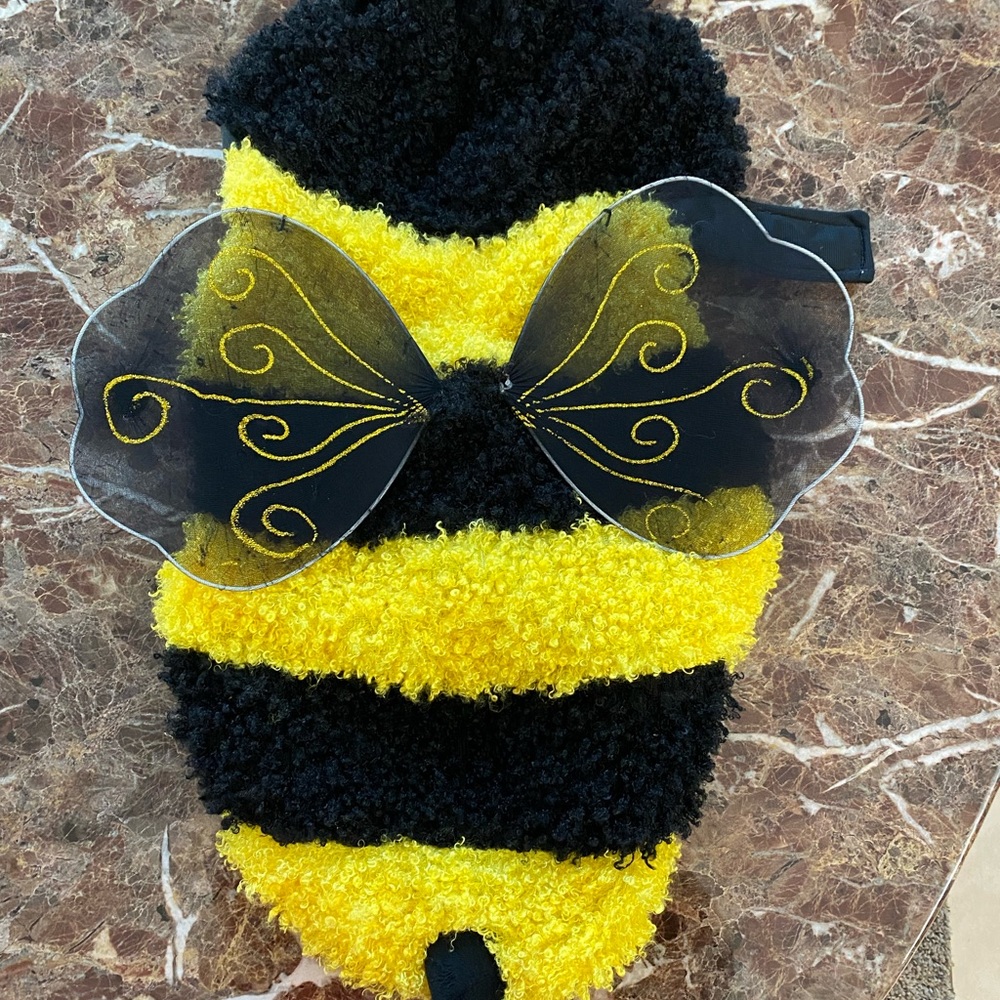 🐶 Bumble Bee 🐝Halloween Costume for a dog